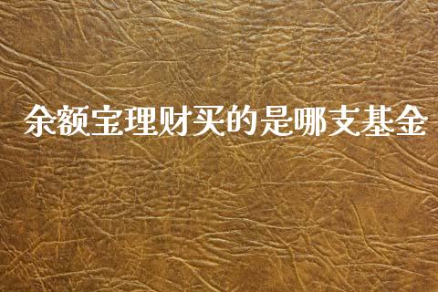 余额宝理财买的是哪支基金_https://www.kuaijiepai.net_投资理财_第1张