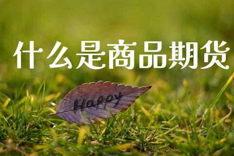 什么是商品期货_https://www.kuaijiepai.net_股票理论_第1张