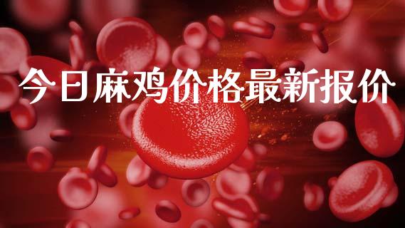 今日麻鸡价格最新报价_https://www.kuaijiepai.net_期货资讯_第1张