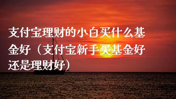 支付宝理财的小白买什么基金好（支付宝新手买基金好还是理财好）_https://www.kuaijiepai.net_投资理财_第1张