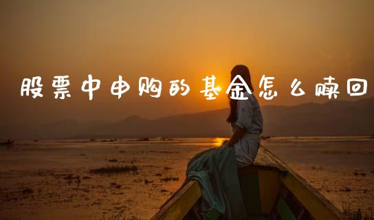 股票中申购的基金怎么赎回_https://www.kuaijiepai.net_期货在线_第1张