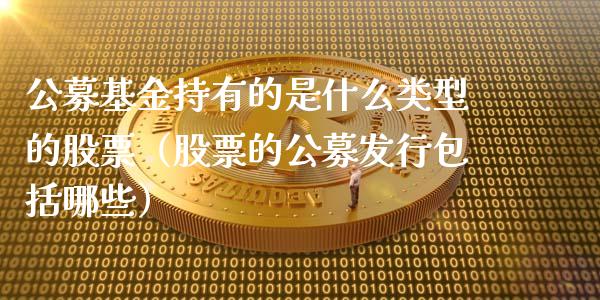 公募基金持有的是什么类型的股票（股票的公募发行包括哪些）_https://www.kuaijiepai.net_期货理财_第1张