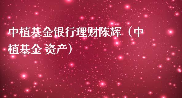 中植基金银行理财陈辉（中植基金 资产）_https://www.kuaijiepai.net_期货理财_第1张