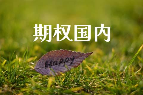 期权国内_https://www.kuaijiepai.net_投资理财_第1张