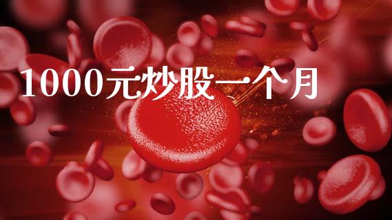 1000元炒股一个月_https://www.kuaijiepai.net_期货资讯_第1张