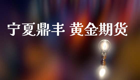 宁夏鼎丰 黄金期货_https://www.kuaijiepai.net_国际期货_第1张