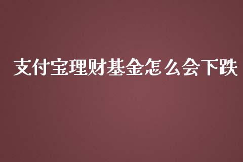 支付宝理财基金怎么会下跌_https://www.kuaijiepai.net_期货理财_第1张