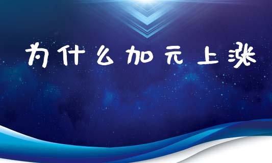 为什么加元上涨_https://www.kuaijiepai.net_投资理财_第1张