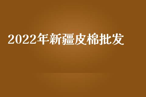 2022年新疆皮棉批发_https://www.kuaijiepai.net_期货资讯_第1张
