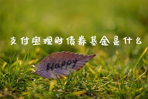 支付宝理财债券基金是什么_https://www.kuaijiepai.net_投资理财_第1张