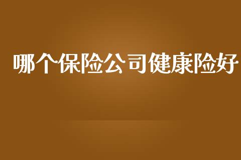 哪个保险公司健康险好_https://www.kuaijiepai.net_期货资讯_第1张