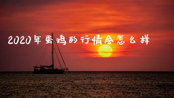 2020年蛋鸡的行情会怎么样_https://www.kuaijiepai.net_期货资讯_第1张
