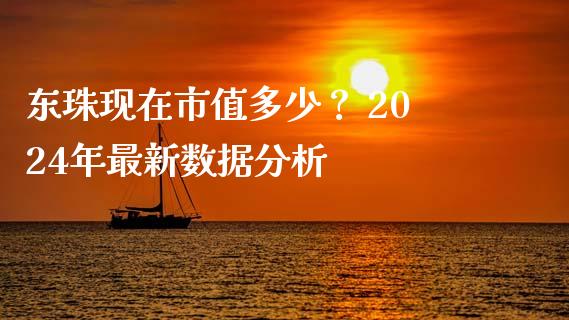 东珠现在市值多少？ 2024年最新数据分析_https://www.kuaijiepai.net_投资理财_第1张