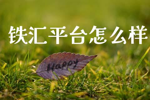 铁汇平台怎么样_https://www.kuaijiepai.net_期货资讯_第1张