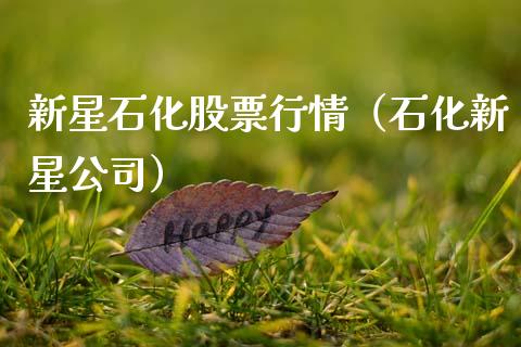 新星石化股票行情（石化新星公司）_https://www.kuaijiepai.net_新股新闻_第1张