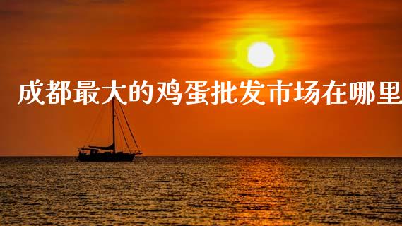 成都最大的鸡蛋批发市场在哪里_https://www.kuaijiepai.net_国际期货_第1张