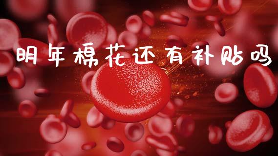 明年棉花还有补贴吗_https://www.kuaijiepai.net_国际期货_第1张