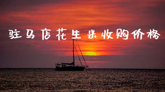 驻马店花生米收购价格_https://www.kuaijiepai.net_期货资讯_第1张
