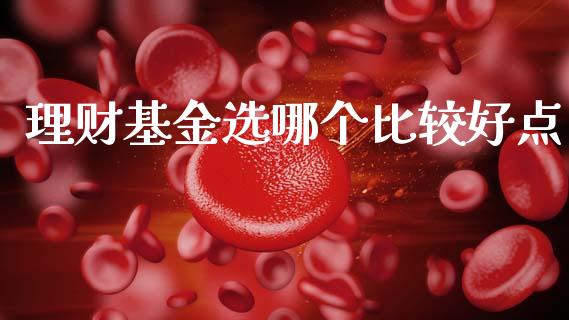 理财基金选哪个比较好点_https://www.kuaijiepai.net_投资理财_第1张