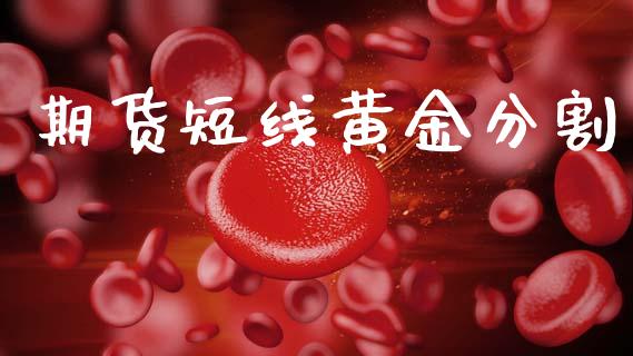 期货短线黄金分割_https://www.kuaijiepai.net_期货资讯_第1张