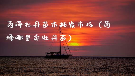 菏泽牡丹苗木批发市场（菏泽哪里卖牡丹苗）_https://www.kuaijiepai.net_期货资讯_第1张