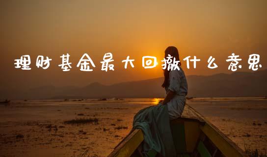理财基金最大回撤什么意思_https://www.kuaijiepai.net_投资理财_第1张