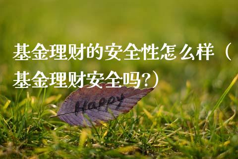 基金理财的安全性怎么样（基金理财安全吗?）_https://www.kuaijiepai.net_期货理财_第1张