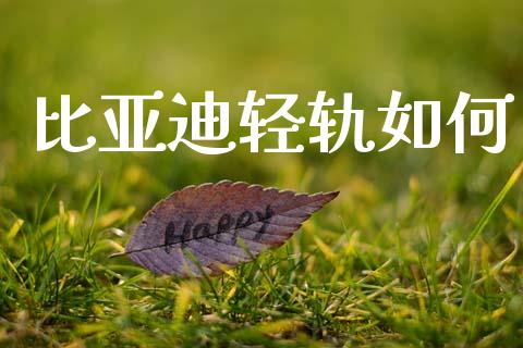比亚迪轻轨如何_https://www.kuaijiepai.net_期货资讯_第1张