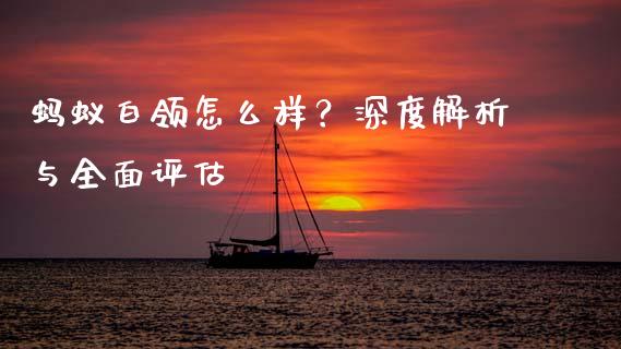 蚂蚁白领怎么样？深度解析与全面评估_https://www.kuaijiepai.net_期货资讯_第1张