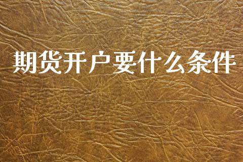 期货开户要什么条件_https://www.kuaijiepai.net_期货资讯_第1张
