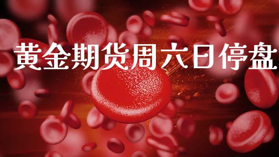 黄金期货周六日停盘_https://www.kuaijiepai.net_期货资讯_第1张