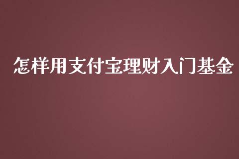 怎样用支付宝理财入门基金_https://www.kuaijiepai.net_投资理财_第1张
