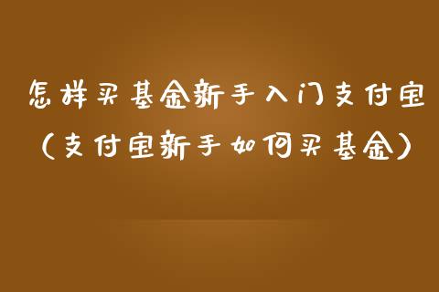 怎样买基金新手入门支付宝（支付宝新手如何买基金）_https://www.kuaijiepai.net_期货理财_第1张
