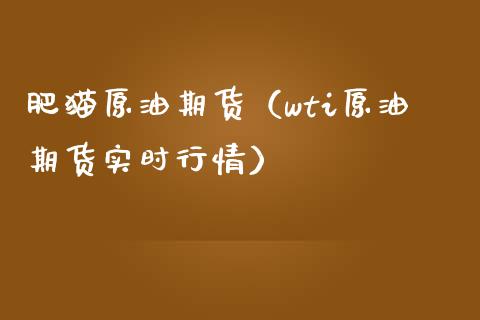 肥猫原油期货（wti原油期货实时行情）_https://www.kuaijiepai.net_国际期货_第1张