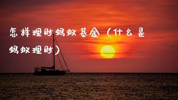 怎样理财蚂蚁基金（什么是蚂蚁理财）_https://www.kuaijiepai.net_期货理财_第1张