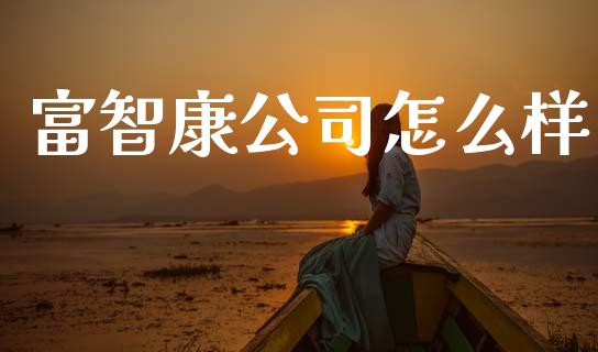 富智康公司怎么样_https://www.kuaijiepai.net_期货在线_第1张