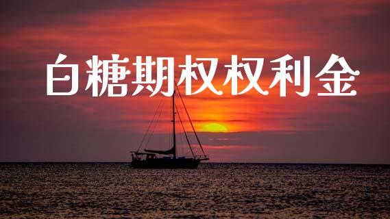 白糖期权权利金_https://www.kuaijiepai.net_股票理论_第1张