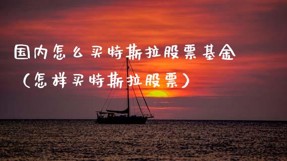 国内怎么买特斯拉股票基金（怎样买特斯拉股票）_https://www.kuaijiepai.net_新股新闻_第1张
