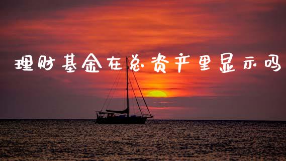 理财基金在总资产里显示吗_https://www.kuaijiepai.net_期货理财_第1张