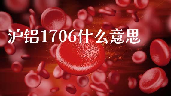 沪铝1706什么意思_https://www.kuaijiepai.net_期货理财_第1张