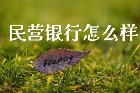 民营银行怎么样_https://www.kuaijiepai.net_期货资讯_第1张