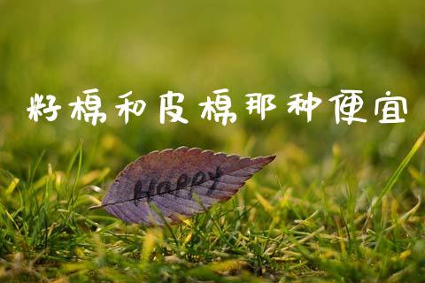 籽棉和皮棉那种便宜_https://www.kuaijiepai.net_国际期货_第1张
