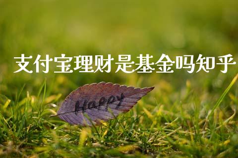 支付宝理财是基金吗知乎_https://www.kuaijiepai.net_投资理财_第1张