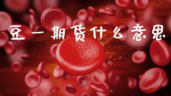 豆一期货什么意思_https://www.kuaijiepai.net_股票理论_第1张