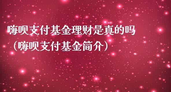 嗨呗支付基金理财是真的吗（嗨呗支付基金简介）_https://www.kuaijiepai.net_投资理财_第1张