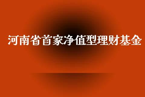 河南省首家净值型理财基金_https://www.kuaijiepai.net_投资理财_第1张