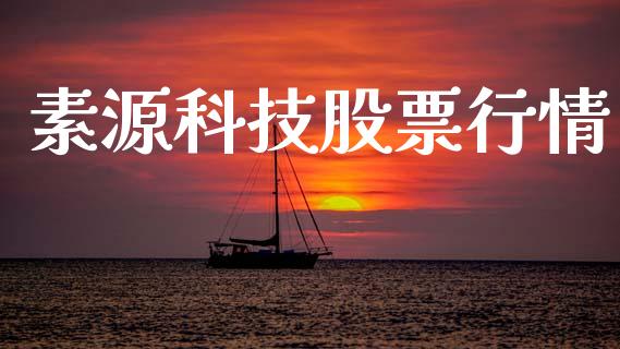 素源科技股票行情_https://www.kuaijiepai.net_新股新闻_第1张