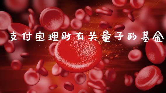 支付宝理财有关量子的基金_https://www.kuaijiepai.net_期货理财_第1张