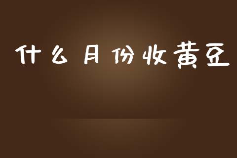 什么月份收黄豆_https://www.kuaijiepai.net_新股新闻_第1张
