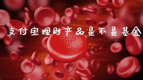 支付宝理财产品是不是基金_https://www.kuaijiepai.net_期货理财_第1张
